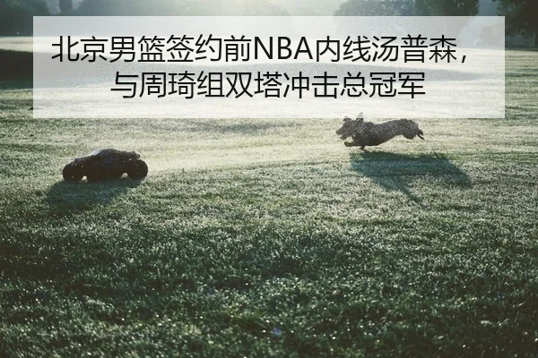 bei-jing-nan-lan-qian-yue-qian-nei-xian-tang-pu-sen-yu-zhou-qi-zu-shuang-ta-chong-ji-zong-guan-jun-2-797.jpg